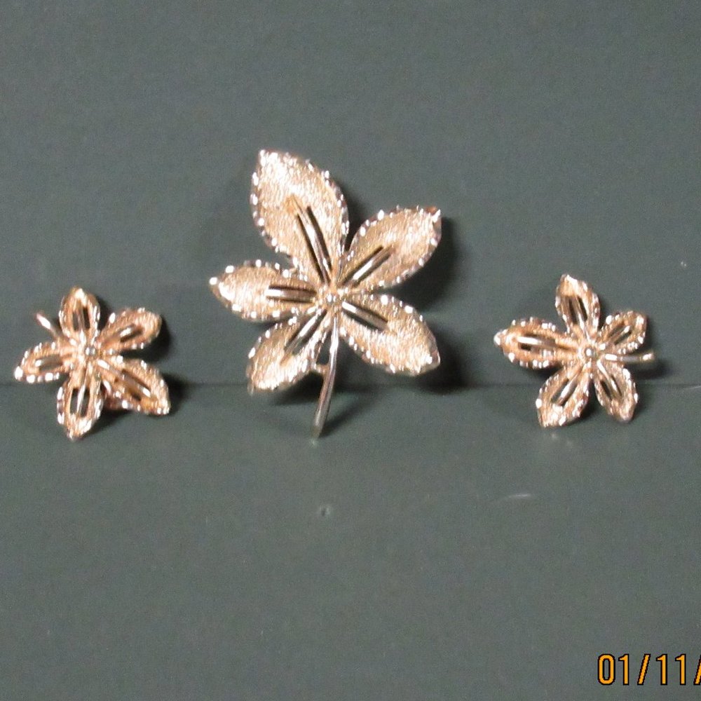 Sarah Coventry Goldtone Leaf Brooch Clip Earrings